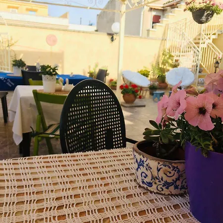 Fiori E Coccole