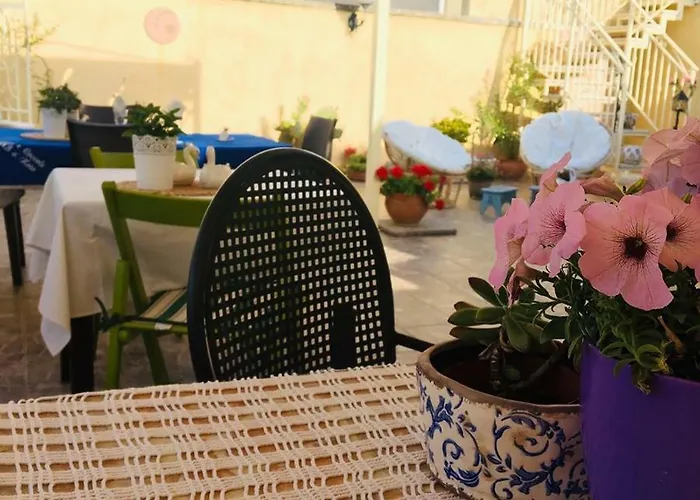 Fiori E Coccole