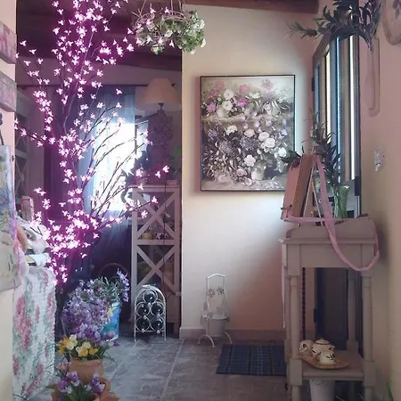Bed & Breakfast Fiori E Coccole