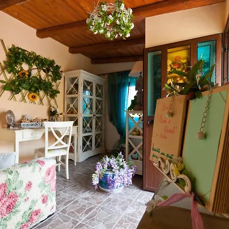 Fiori E Coccole Noto